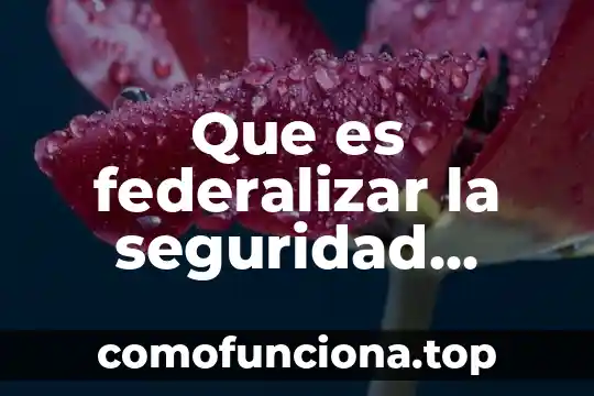 Que es insumos en alimentos 4 Que es federalizar la seguridad publica
