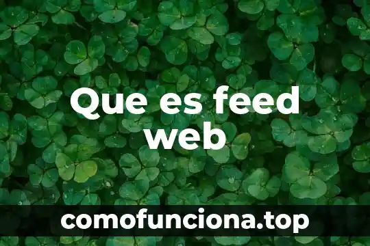 Escudo web antivirus Avast que es 7 Que es feed web