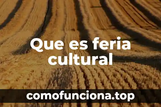 Que es el patrimonio cultural de altotonga 3 Que es feria cultural