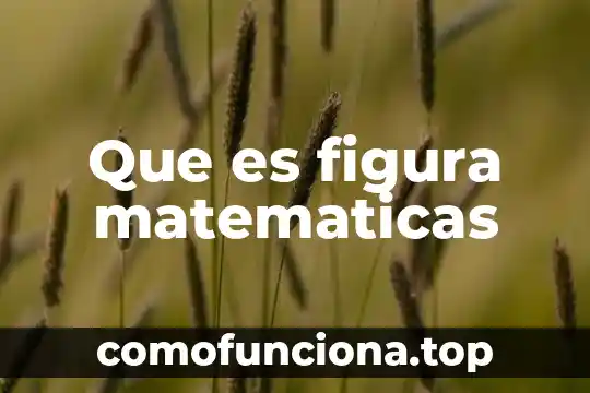 Que es abscisa y ordenada en matemáticas 5 Que es figura matematicas