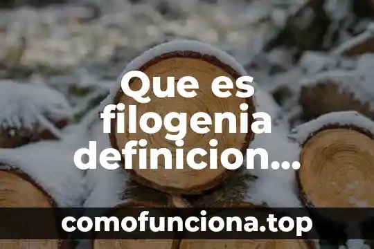 Qué es un ansiolítico definición 7 Que es filogenia definicion oficial