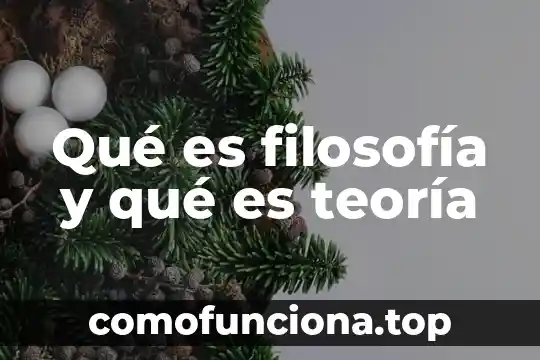 Que es una definición filosofia 3 Qué es filosofía y qué es teoría
