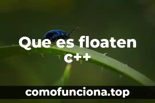 Que es el espacio de nombres c 5 Que es floaten c++