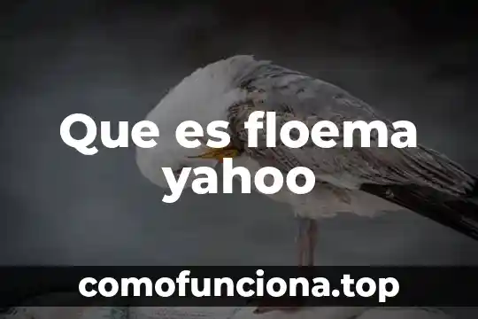 Arte que es yahoo 8 Que es floema yahoo