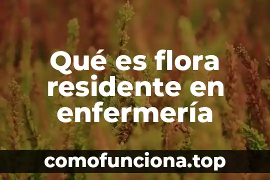 Que es ser residente en medicina 5 Qué es flora residente en enfermería