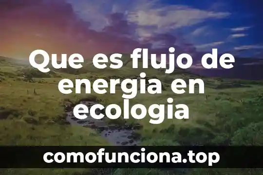 Que es el flujo de energia ecologia 6 Que es flujo de energia en ecologia