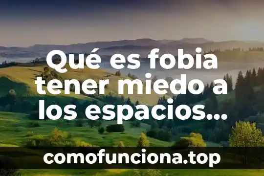 Que es un concepto operacional 4 Qué es fobia tener miedo a los espacios cerrados