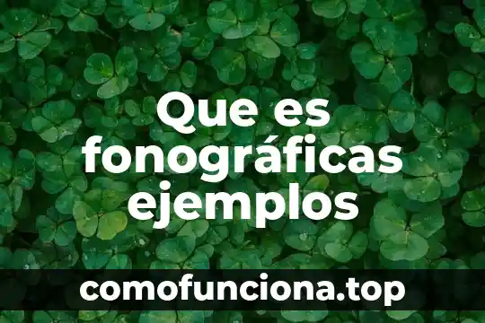 Que es cultura legalidad y ejemplos 4 Que es fonográficas ejemplos