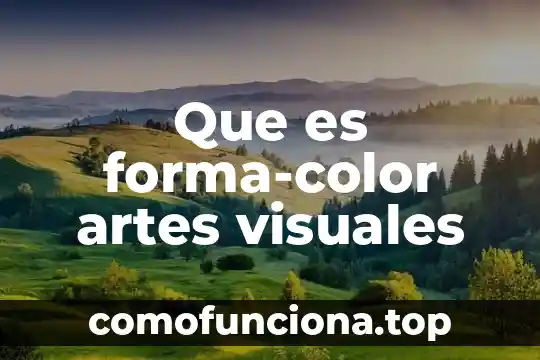 Que es un coleccionista en las artes visuales 6 Que es forma-color artes visuales