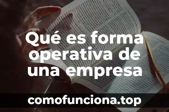 Qué es una señal analógica y su forma de dibujarla 5 Qué es forma operativa de una empresa