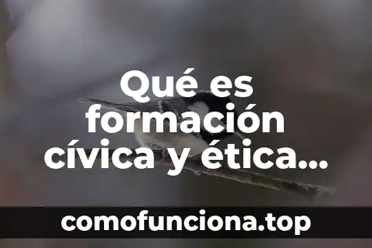 Qué es el concepto de educación cívica y ética 4 Qué es formación cívica y ética para niños