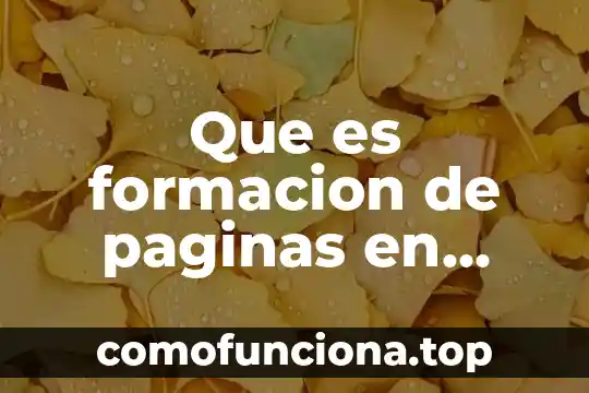 Qué es un servidor para páginas web 4 Que es formacion de paginas en diseño editorial
