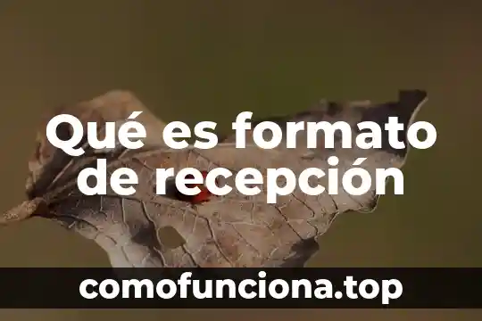 La flor de cilantro para que es buena 7 Qué es formato de recepción