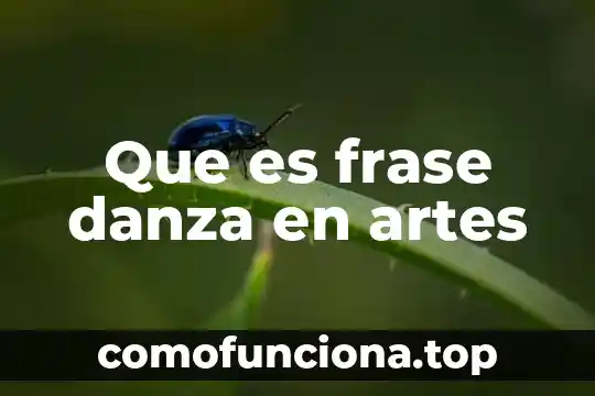 Que es una frase de causa y consecuencia 3 Que es frase danza en artes