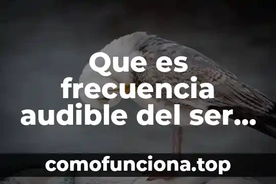 Que es ser cacique 7 Que es frecuencia audible del ser humano