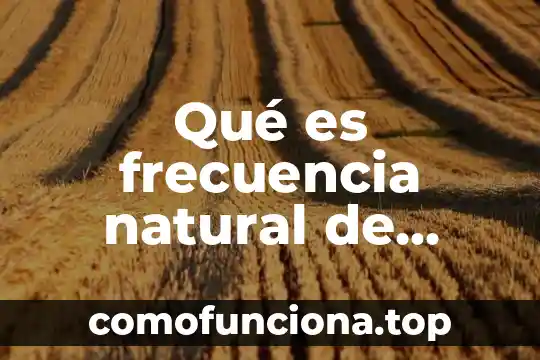 Qué es patrimonio natural 6 Qué es frecuencia natural de oscilación