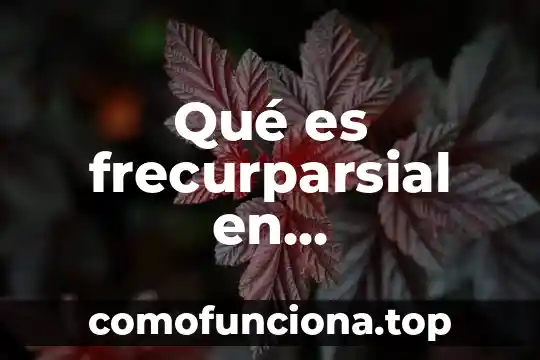 Para qué es el símbolo del ángulo en matemáticas 6 Qué es frecurparsial en matemáticas