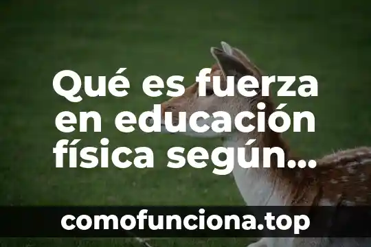 Que es un trastorno de personalidad segun autores 4 Qué es fuerza en educación física según autores