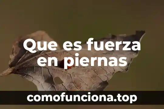 Qué es la fuerza gravitacional en los cuerpos teoría 7 Que es fuerza en piernas