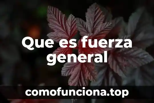 Qué es la teoría general de sistemas en la mediación 4 Que es fuerza general