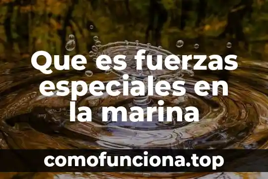 Altavoces tweeter que es 4 Que es fuerzas especiales en la marina