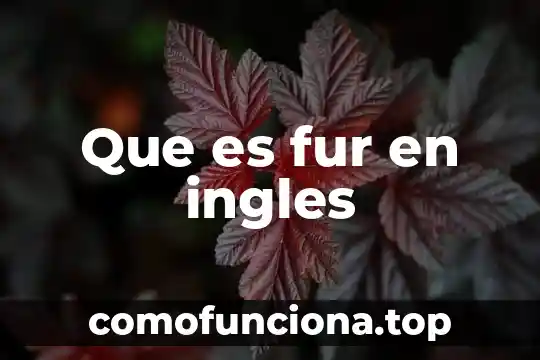 Que es futuro simple en ingles y español 3 Que es fur en ingles