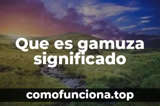 Qué es consistentes significado 5 Que es gamuza significado