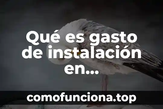 Que es lo mas dificil de contabilidad 3 Qué es gasto de instalación en contabilidad