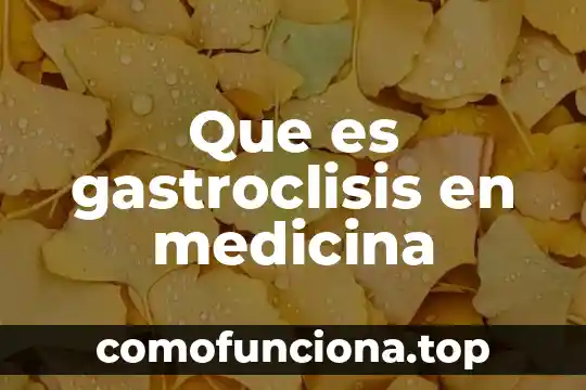 Qué es macula en medicina 6 Que es gastroclisis en medicina