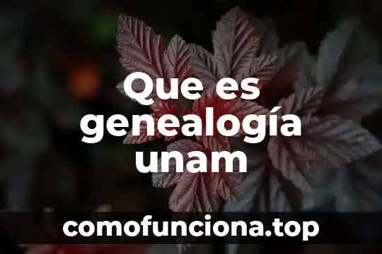 Que es la conclusion unam 4 Que es genealogía unam