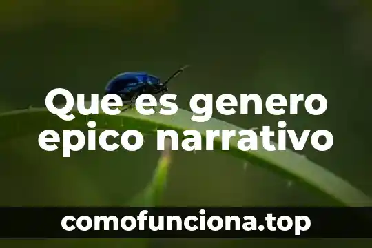 Que es el espacio narrativo ejemplo 3 Que es genero epico narrativo