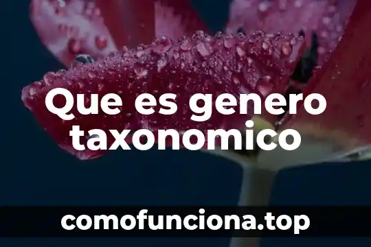Qué es el género pop latino 7 Que es genero taxonomico