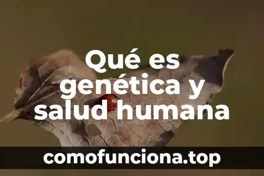 Que es estilizacion de la figura humana 4 Qué es genética y salud humana