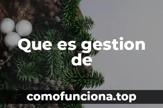 Que es un campo en gestion del conocimiento 5 Que es gestion de