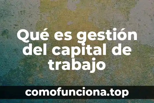 Que es el capital social y tipos de capital social 6 Qué es gestión del capital de trabajo
