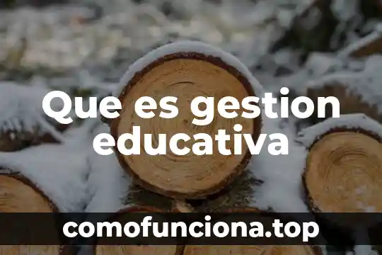 Que es una licenciatura educativa 4 Que es gestion educativa