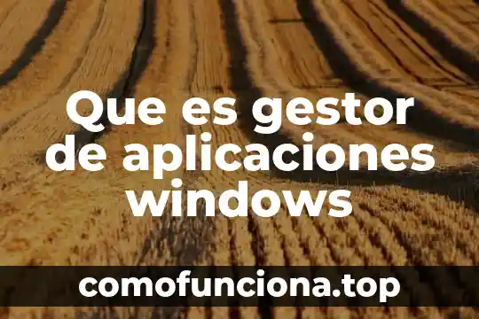 Aplicaciones de identidad corporativa que es 6 Que es gestor de aplicaciones windows