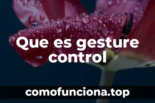 Que es lizardtech djvu control 3 Que es gesture control