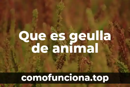 Que es una mordedura de animal 8 Que es geulla de animal