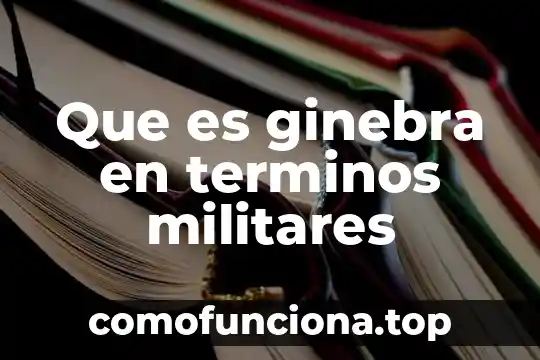 Que es el dolor de estomago en terminos populares 5 Que es ginebra en terminos militares