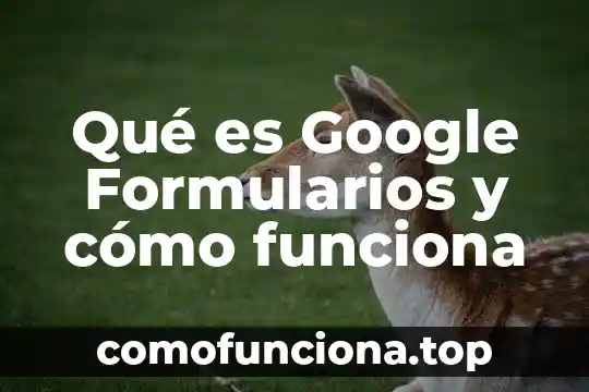 Que es y como funciona un reloj de sol 3 Qué es Google Formularios y cómo funciona