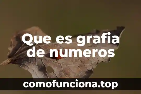 Que es la sucesion de numeros con signo 3 Que es grafia de numeros