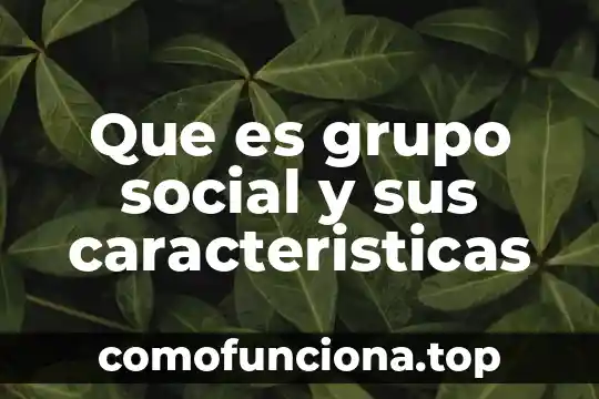 Que es el trabajo social a nivel individual 7 Que es grupo social y sus caracteristicas