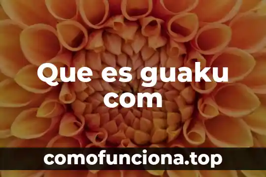 Qué es com dcom distribuidos 4 Que es guaku com