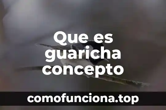 Qué es el concepto de mediatriz 3 Que es guaricha concepto