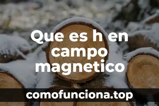 Qué es la firma dro y formato magnético 5 Que es h en campo magnetico