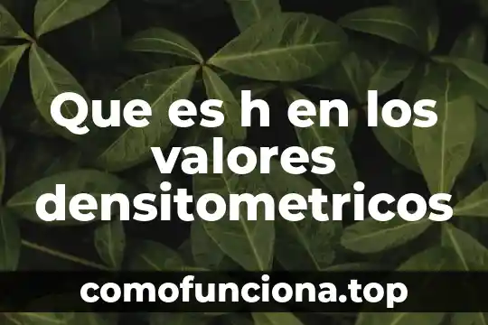 Que es una intensidad sonora definicion para niños 3 Que es h en los valores densitometricos