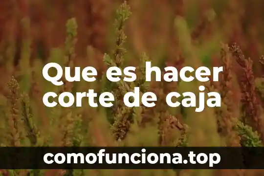 Que es un estudio de corte transversal 7 Que es hacer corte de caja