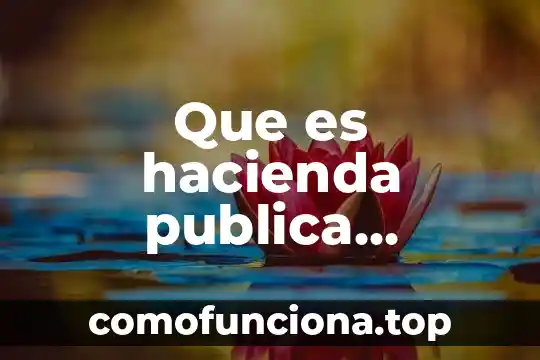 Que es la secretaria de hacienda y credito publico fondos 4 Que es hacienda publica municipal tuxtla gutierrez