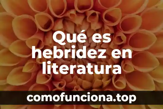 Qué es argumento en literatura 7 Qué es hebridez en literatura